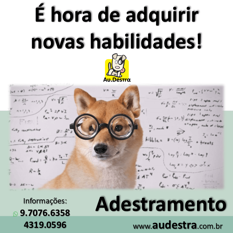 Habilidades