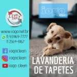 Lavanderia de tapetes (1)