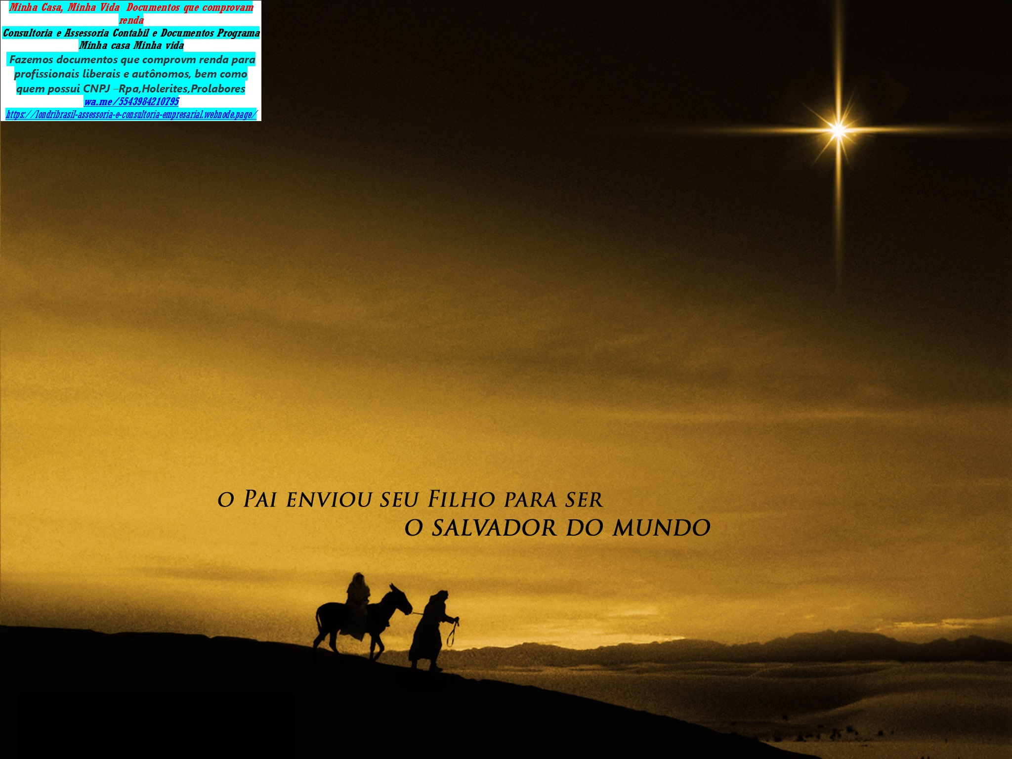 TEMA 01