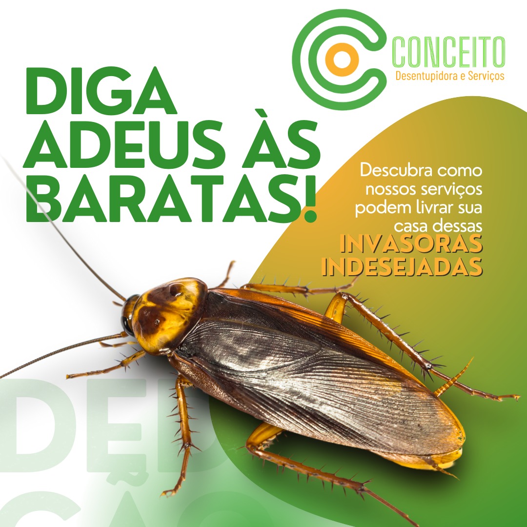 WhatsApp Image 2025-03-26 at 13.46.52