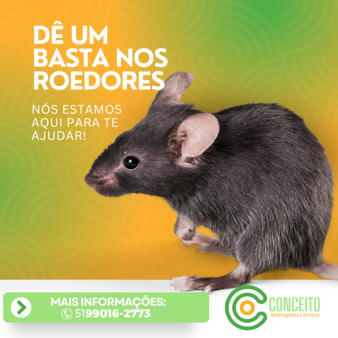WhatsApp Image 2025-03-26 at 13.46.52 (1)